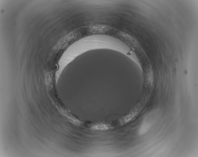 X0000078840759200611271322