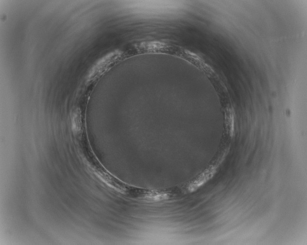 X0000078840760200611271322