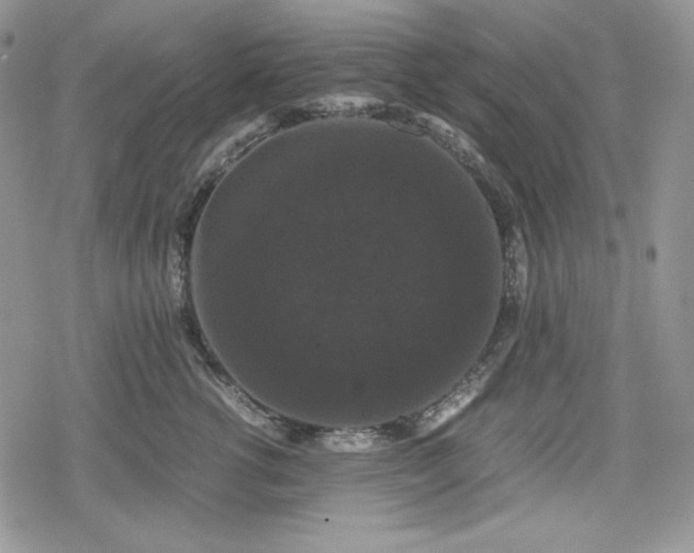 X0000078840762200611271322