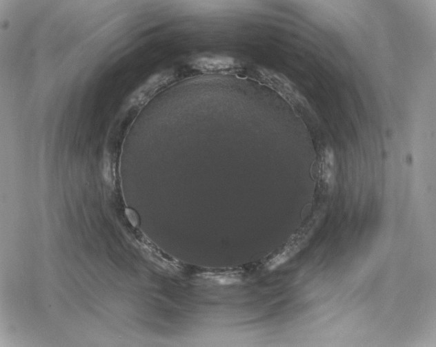 X0000078840763200611271322