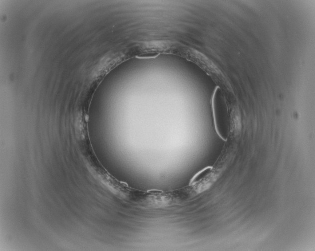 X0000078840764200611271322