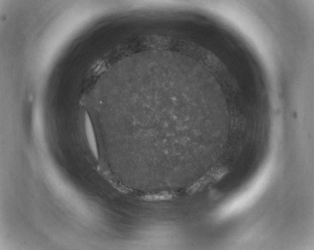 X0000078840765200611271322