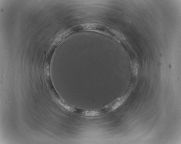 X0000078840766200611271322