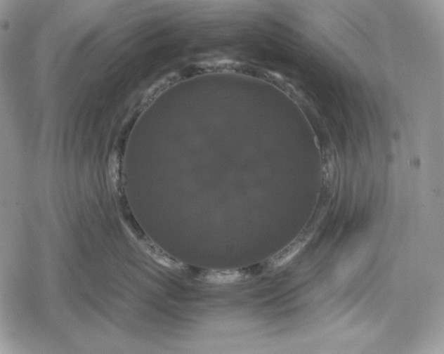 X0000078840767200611271322