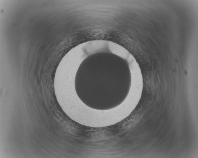 X0000078840769200611271321