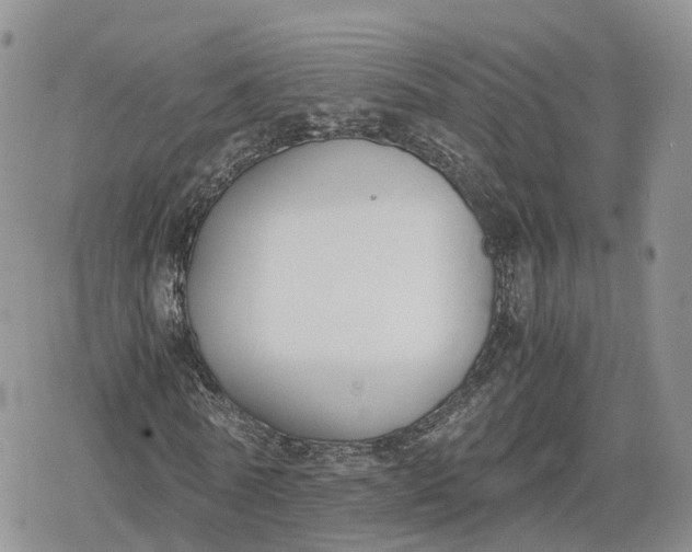 X0000078840770200611271321