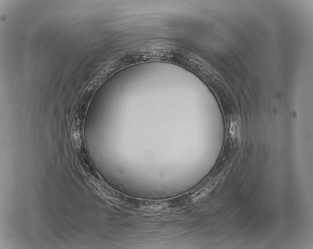 X0000078840771200611271321