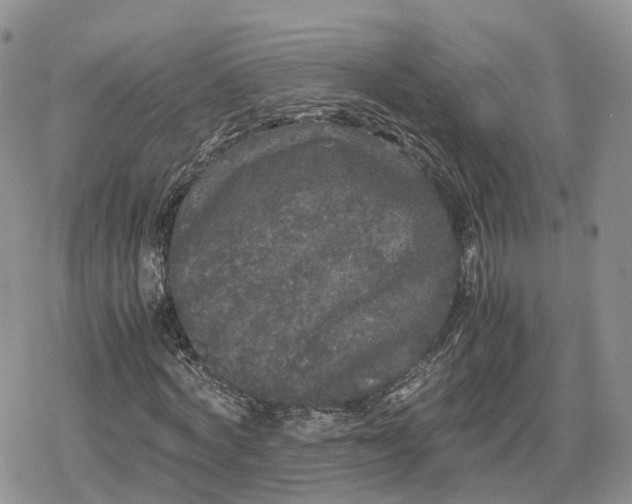 X0000078840772200611271321