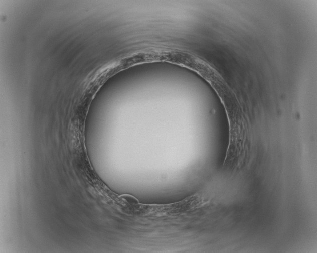 X0000078840773200611271321