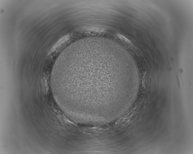 X0000078840774200611271321