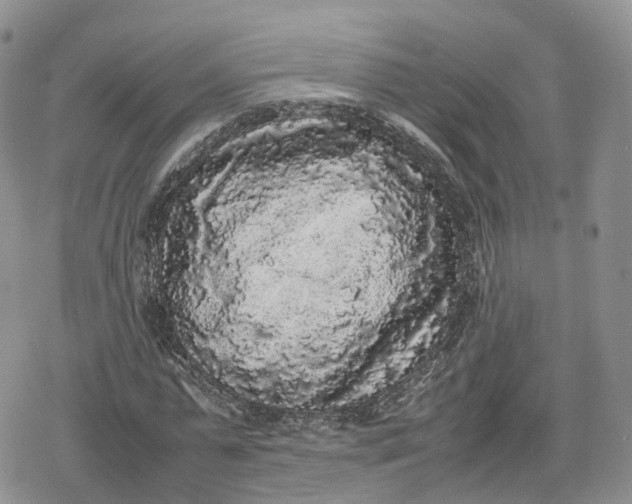 X0000078840775200611271321