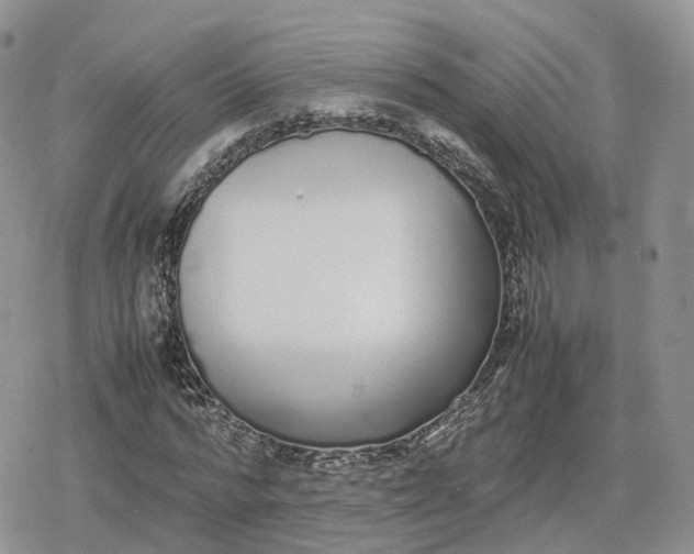 X0000078840776200611271321