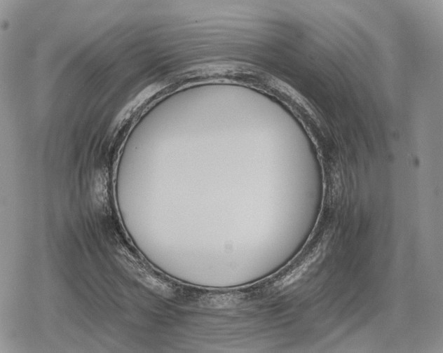 X0000078840778200611271321