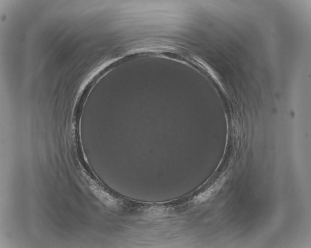 X0000078840779200611271321