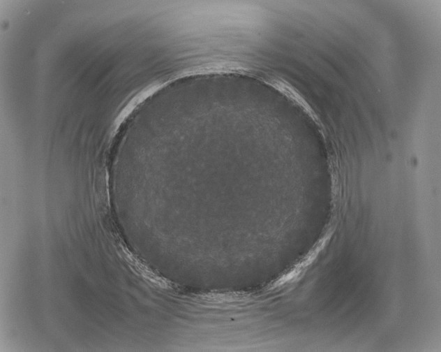 X0000078840781200611271321