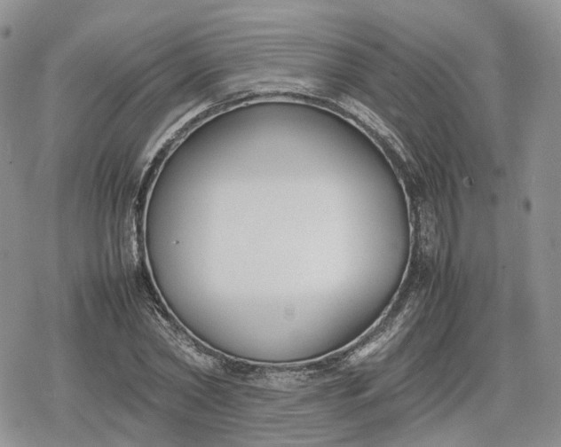 X0000078840782200611271321