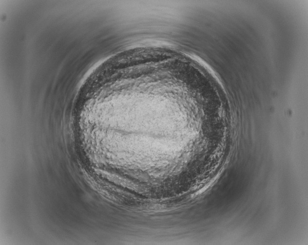 X0000078840783200611271321