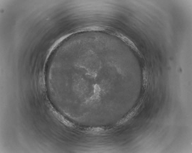 X0000078840784200611271321