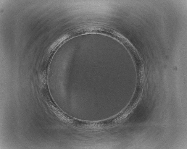 X0000078840785200611271321