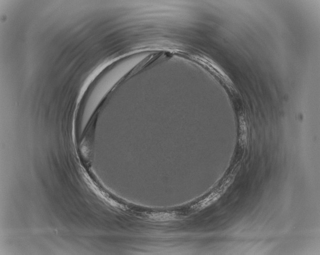 X0000078840788200611271321