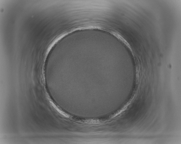 X0000078840789200611271321