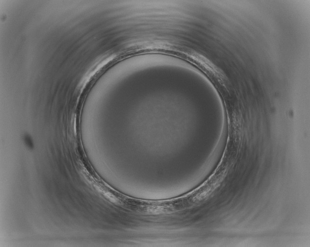 X0000078840790200611271321