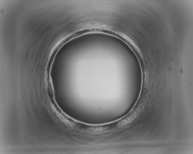 X0000078840791200611271321