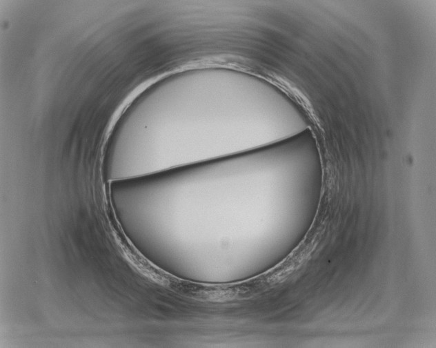 X0000078840792200611271321