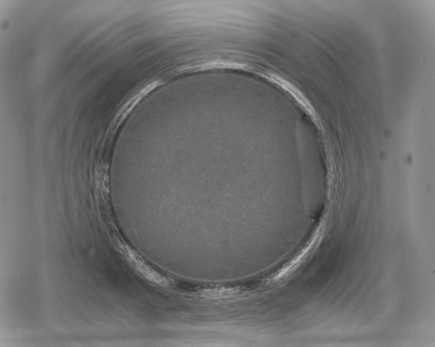 X0000078840793200611271321