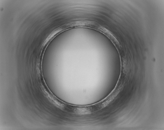 X0000078840794200611271321