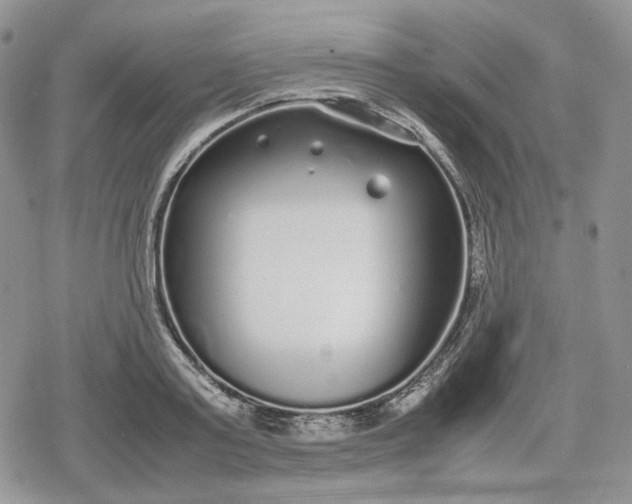 X0000078840795200611271321