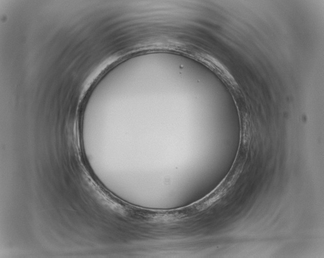 X0000078840796200611271321