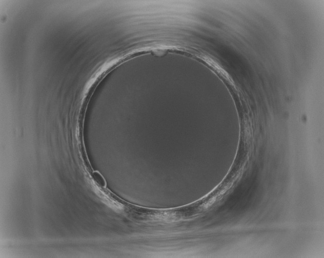 X0000078840797200611271321