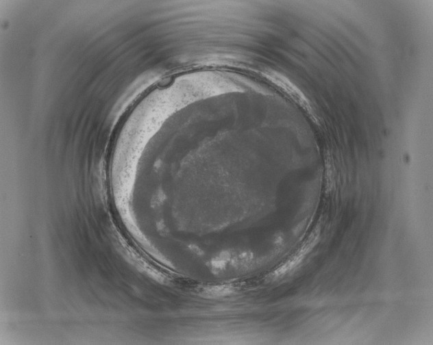 X0000078840798200611271320