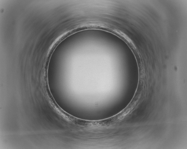 X0000078840799200611271320