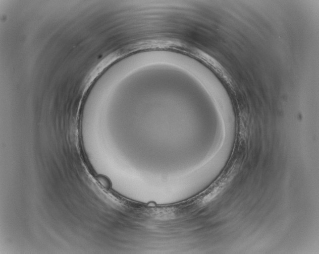 X0000078840802200611271320