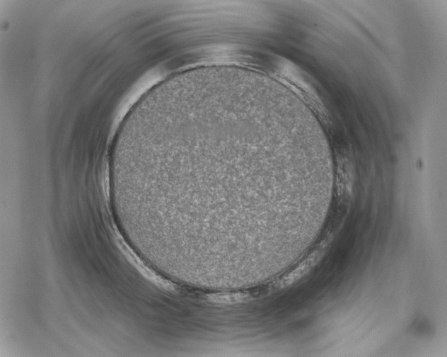 X0000078840804200611271320