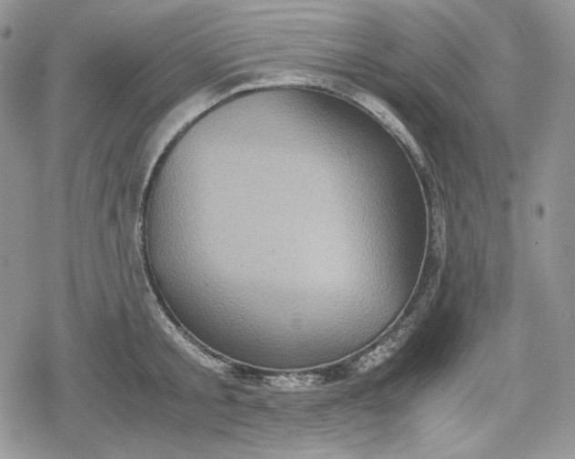 X0000078840805200611271320