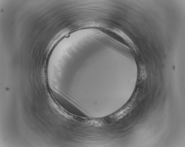 X0000078840806200611271320