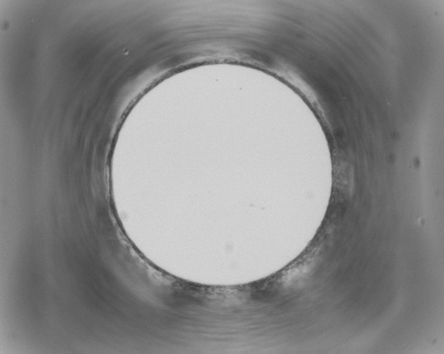 X0000078840807200611271320