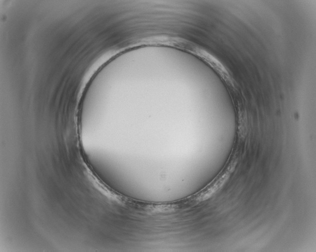 X0000078840808200611271320