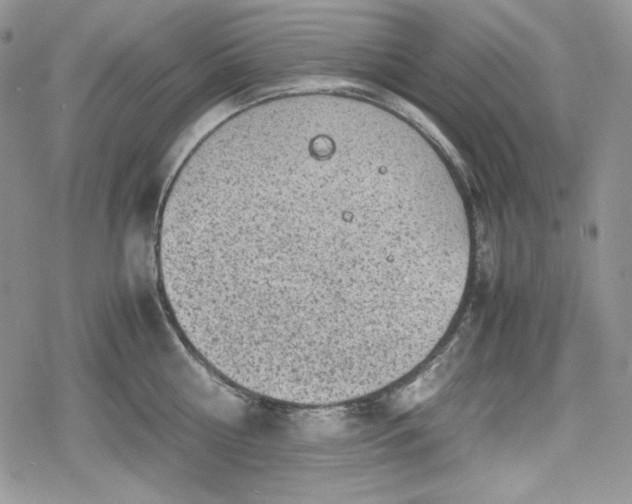 X0000078840810200611271320