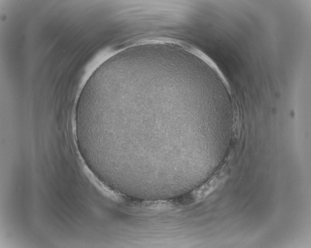 X0000078840811200611271320