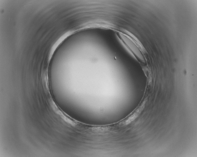 X0000078840812200611271320