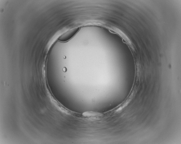 X0000078840814200611271320