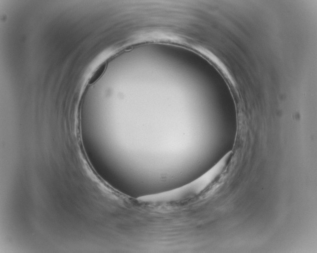 X0000078840815200611271320