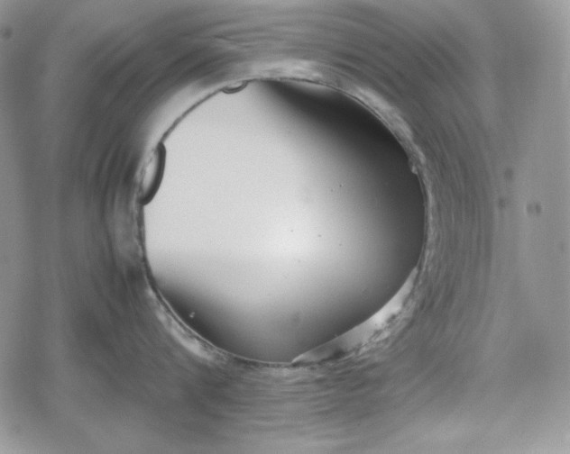 X0000078840816200611271320