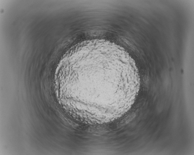 X0000078840817200611271319