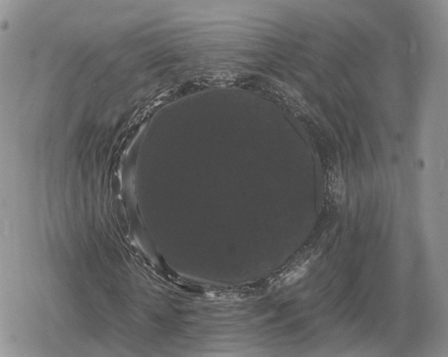 X0000078840818200611271319