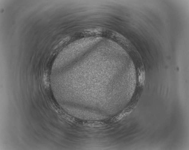 X0000078840819200611271319